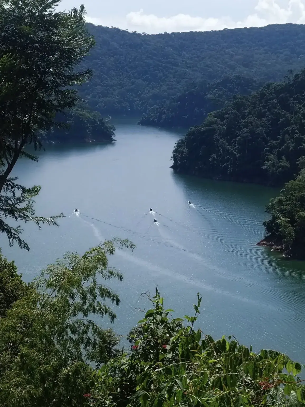 Paseo en lancha