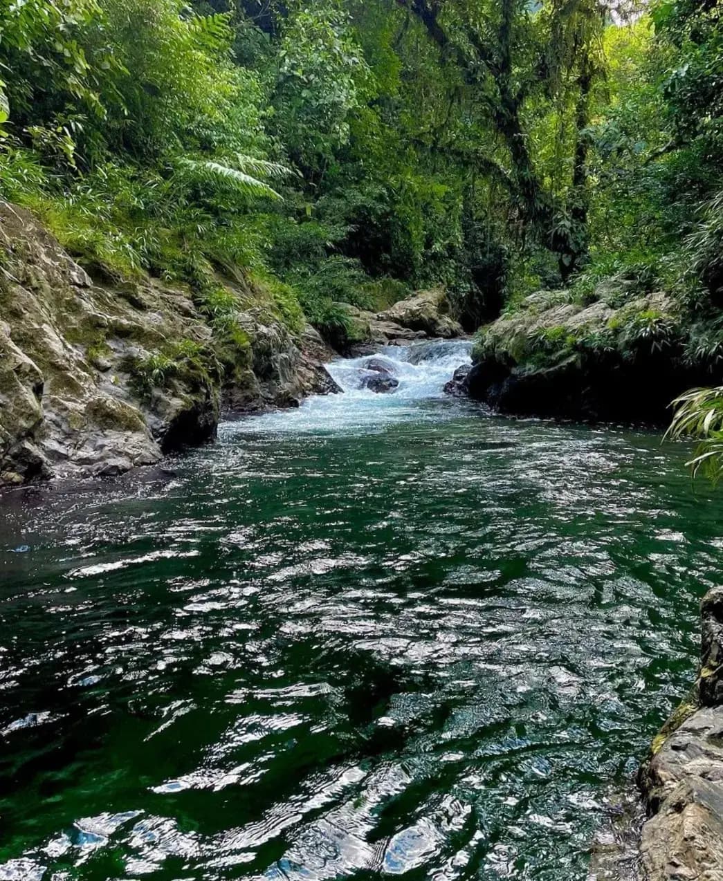 Sendero ecológico